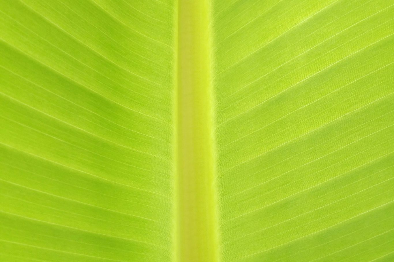 Nachhaltigkeit Natur